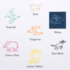 Versa Craft L